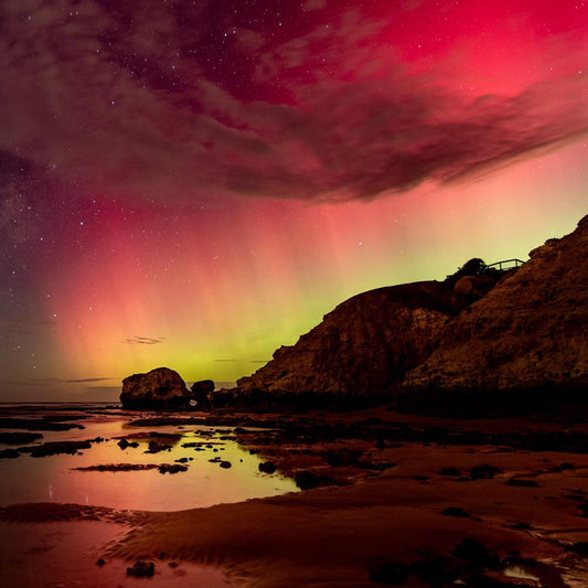 Explore Tasmania in 5 Days with Unforgettable Tours and Coastal Wonders