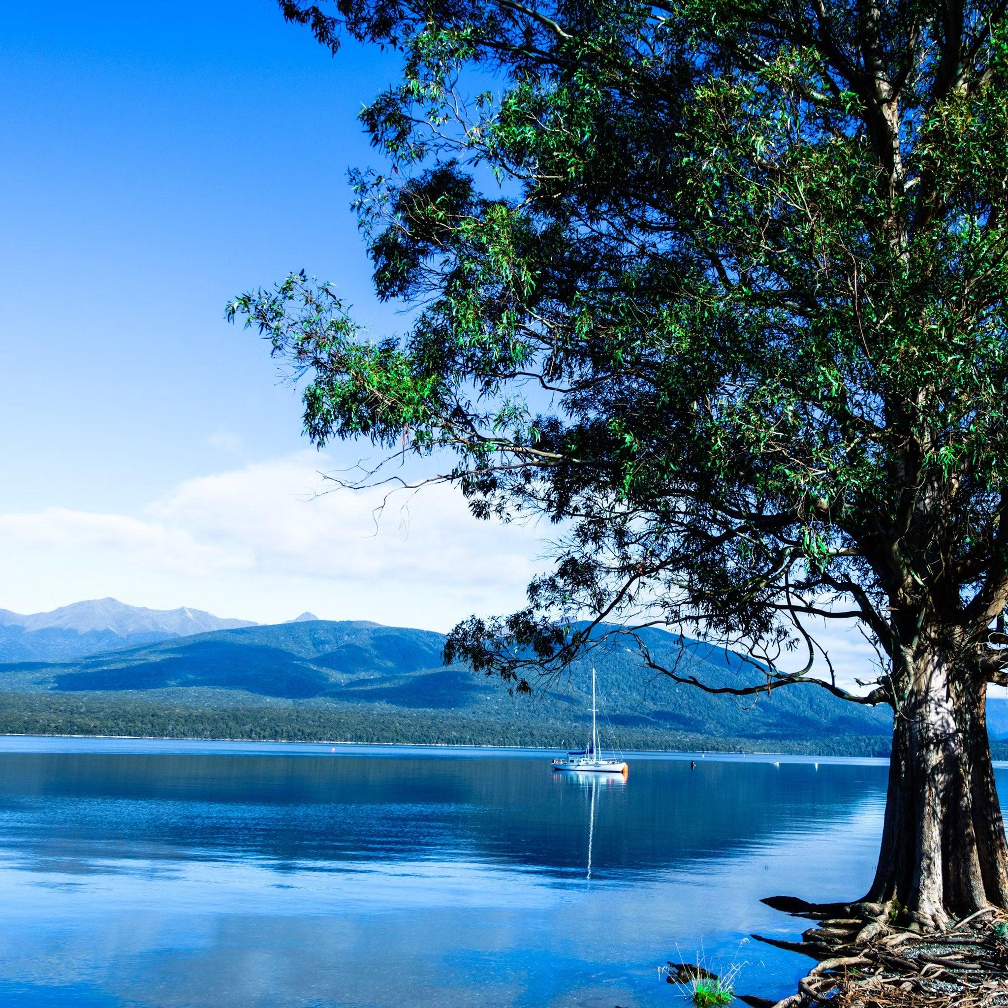 6-Day South Island Small Group Tour Whale Watching & Salmon Farm