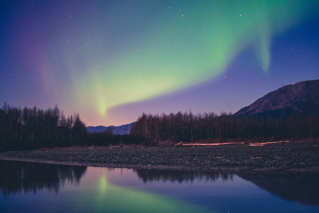 Chasing the Northern Lights: Aurora Adventures Across Alaska & New Zealand