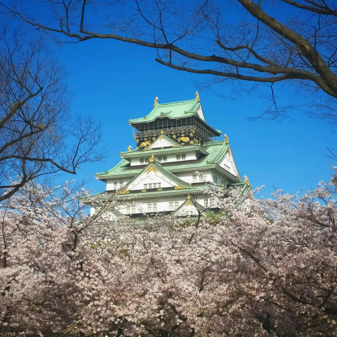 2026 Japan Travel Guide: Top Things To Do, Costs & Itinerary | Traveltides