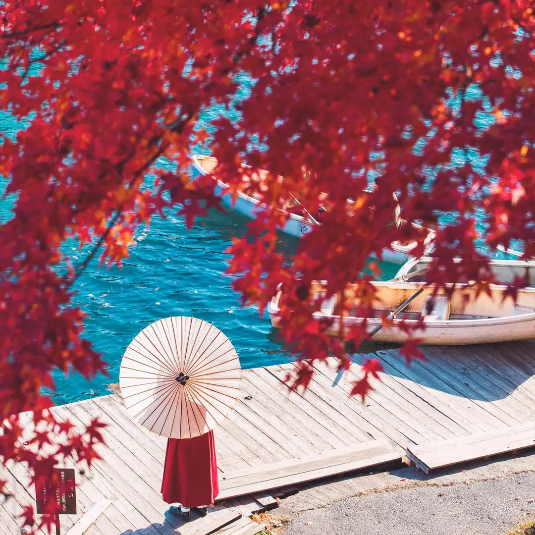 Japan Autumn Travel Guide 2026 | Best Fall Foliage & Itinerary | TravelTides