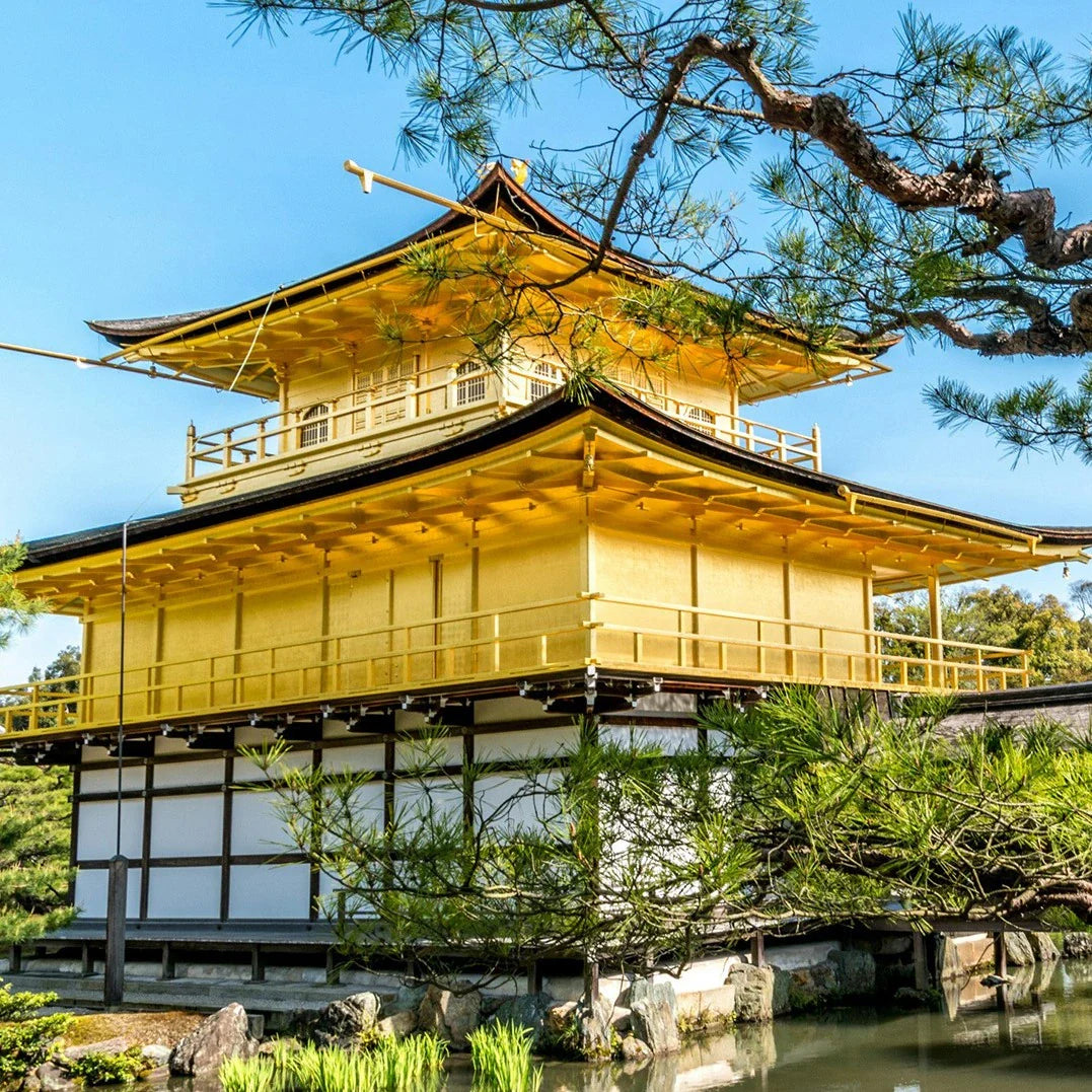 2026 Japan Travel Ultimate Troubleshooting Guide: Fix All Inconveniences & Travel Safely | TravelTides