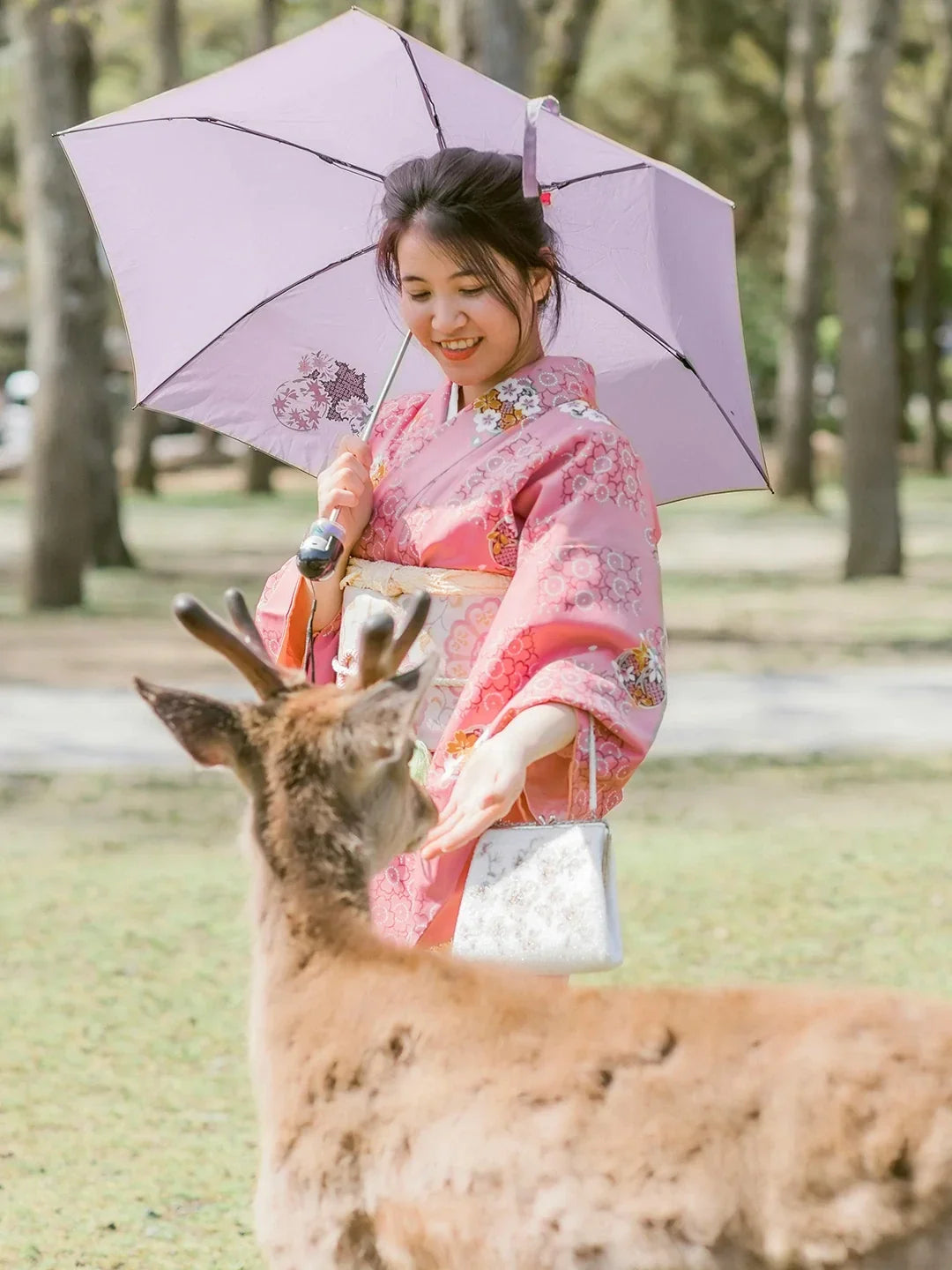 2026 UK Traveller's Guide to Japan | Visa, Flights, Trains & Travel Tips