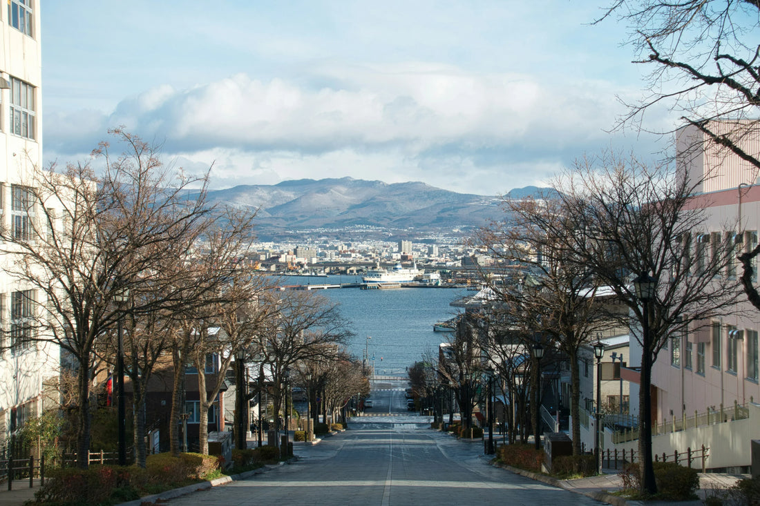 2026/2027 Hokkaido Travel Guide: Best Places to Visit, Itinerary, Weather & Travel Tips
