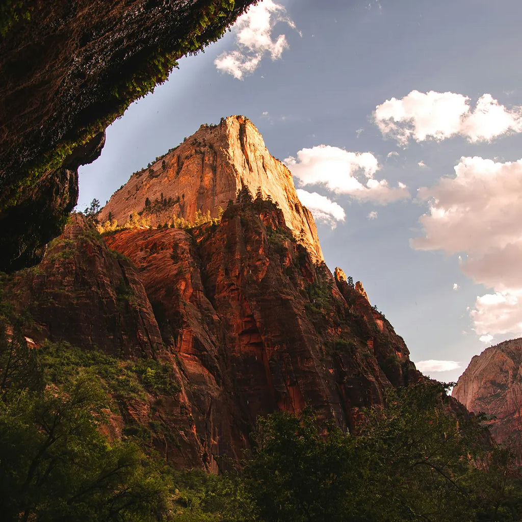 4-Day Small VIP Group Tour: Las Vegas to Zion, Bryce, Grand Canyon & More