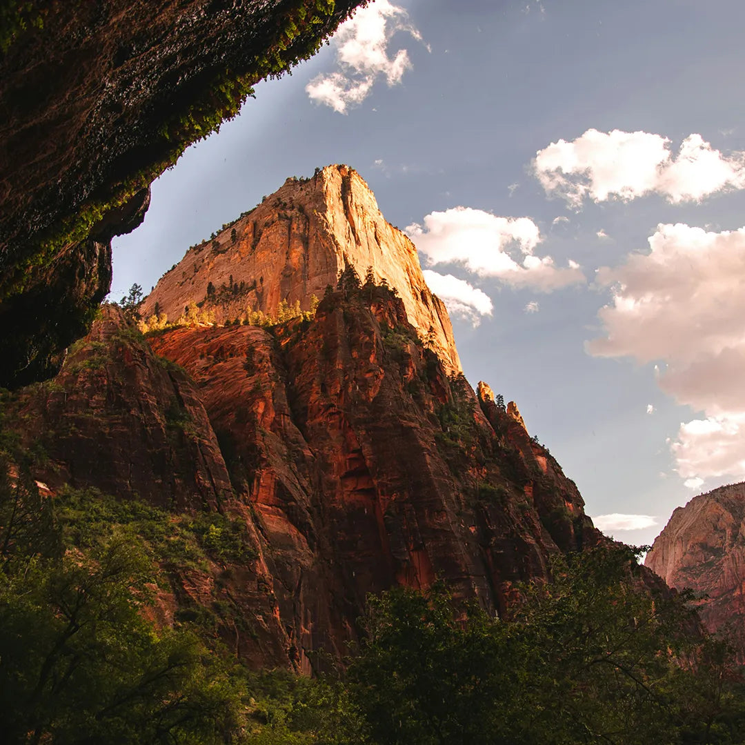 2-Day Private Small Group Tour of the Western United States Panorama (Round-Trip from Las Vegas)