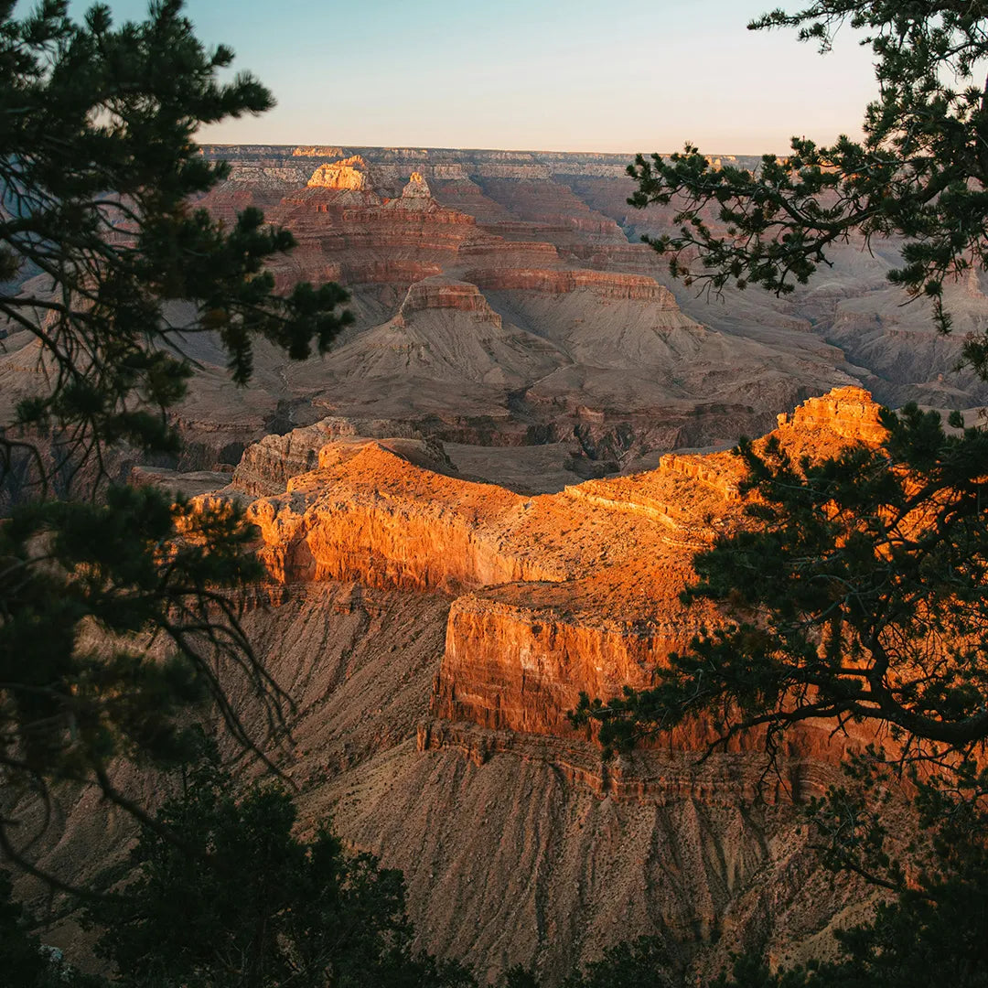 4-Day Western U.S. 5 National Parks | Grand Canyon, Zion, Bryce & More