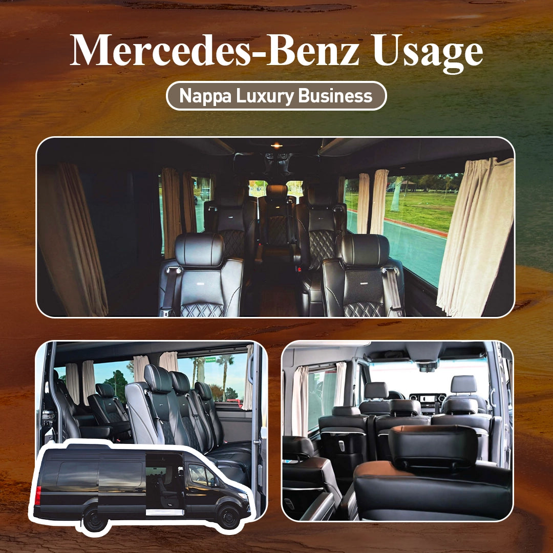 8-Day Yellowstone Immersive Nature Tour| From Los Angeles To Las Vegas | The most comprehensive and longest southern loop