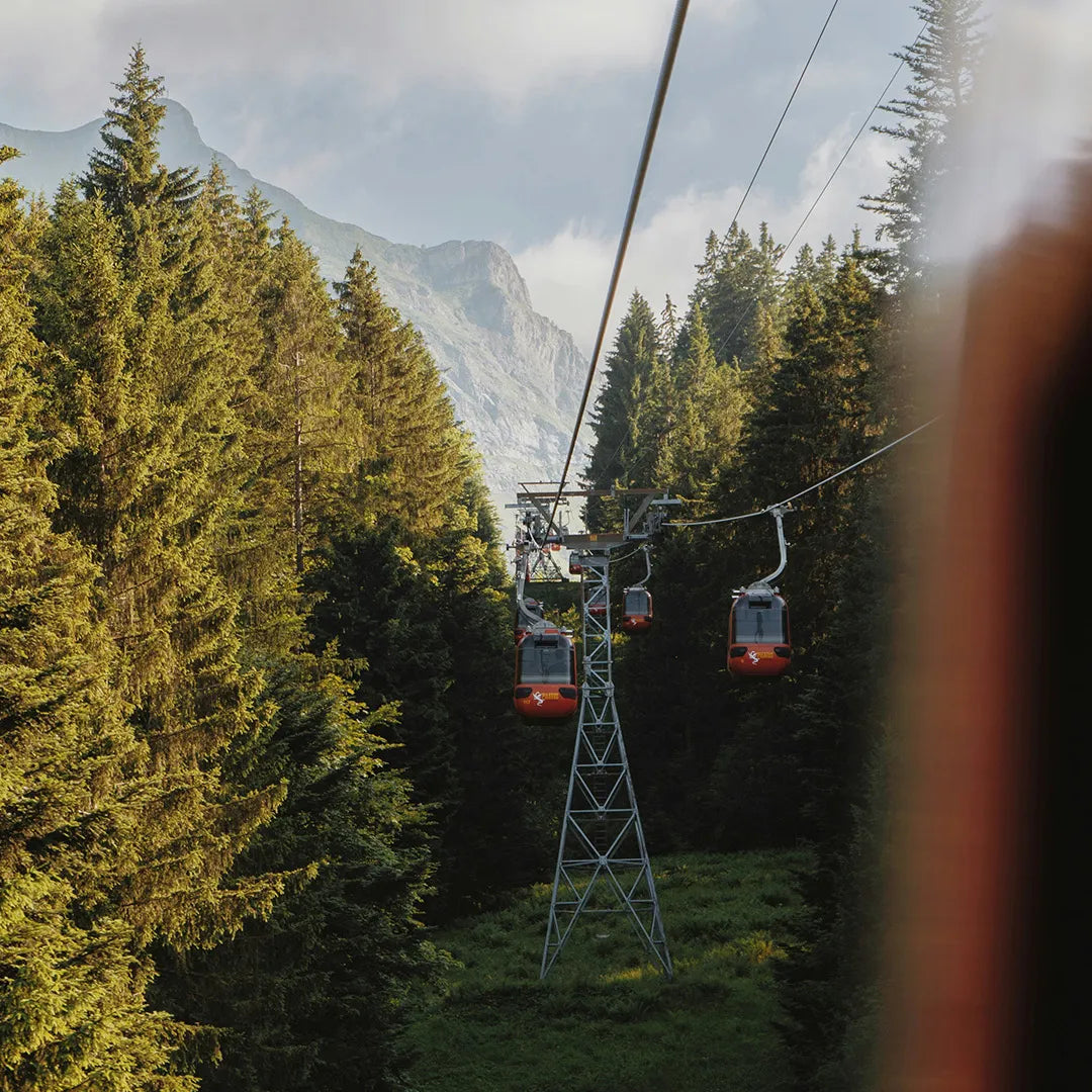 5-Day Banff, Jasper & Yoho National Parks Small Group Tour