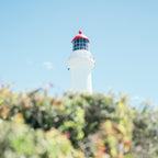 Melbourne 4-Day Adventure: City Highlights & Coastal Wonders