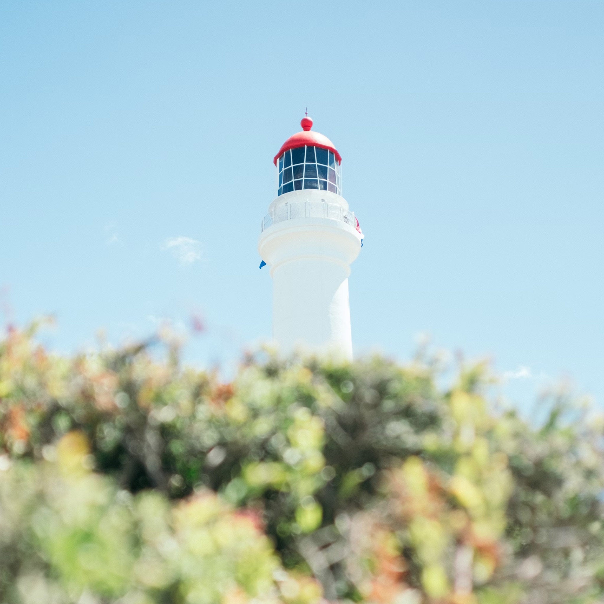 Melbourne 4-Day Adventure: City Highlights & Coastal Wonders