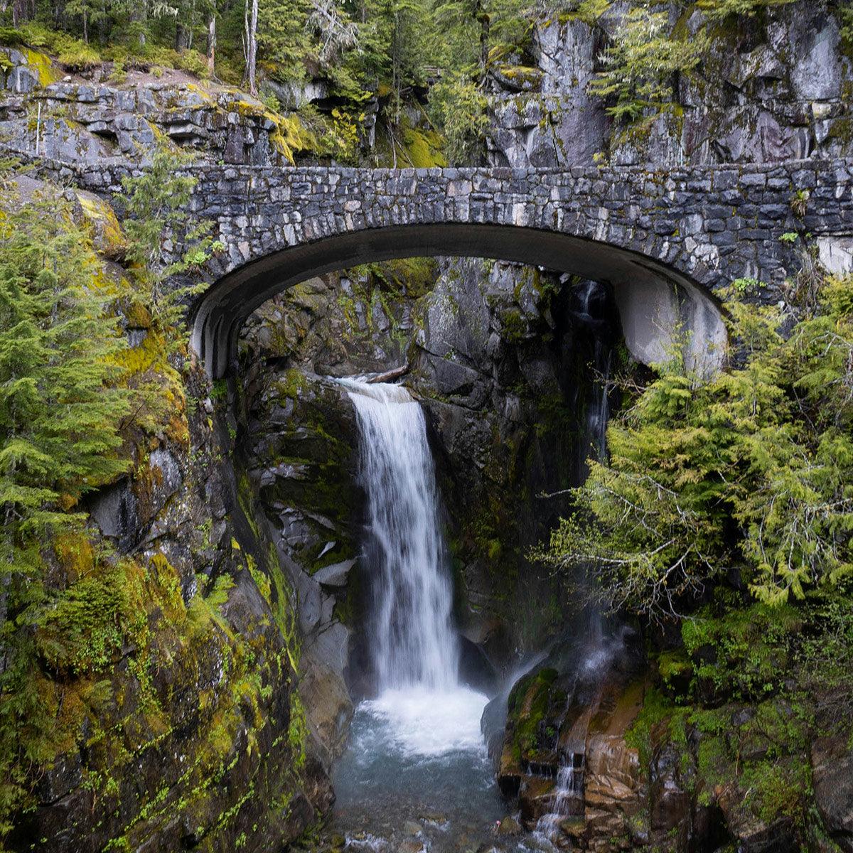 2-Day Mount Rainier & Olympic National Parks Tour – Washington’s Natural Wonders