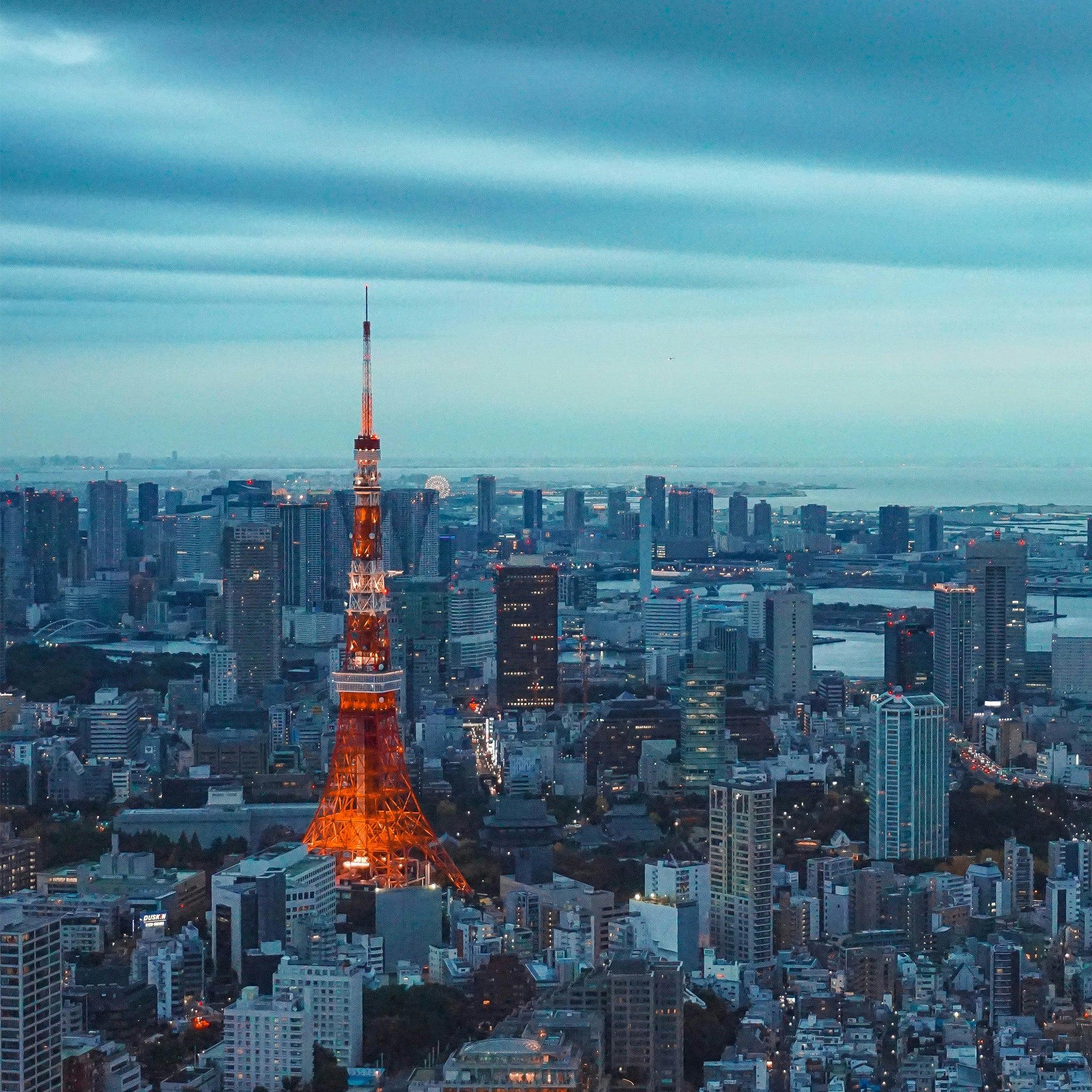 Tokyo Haneda International Airport Transfers