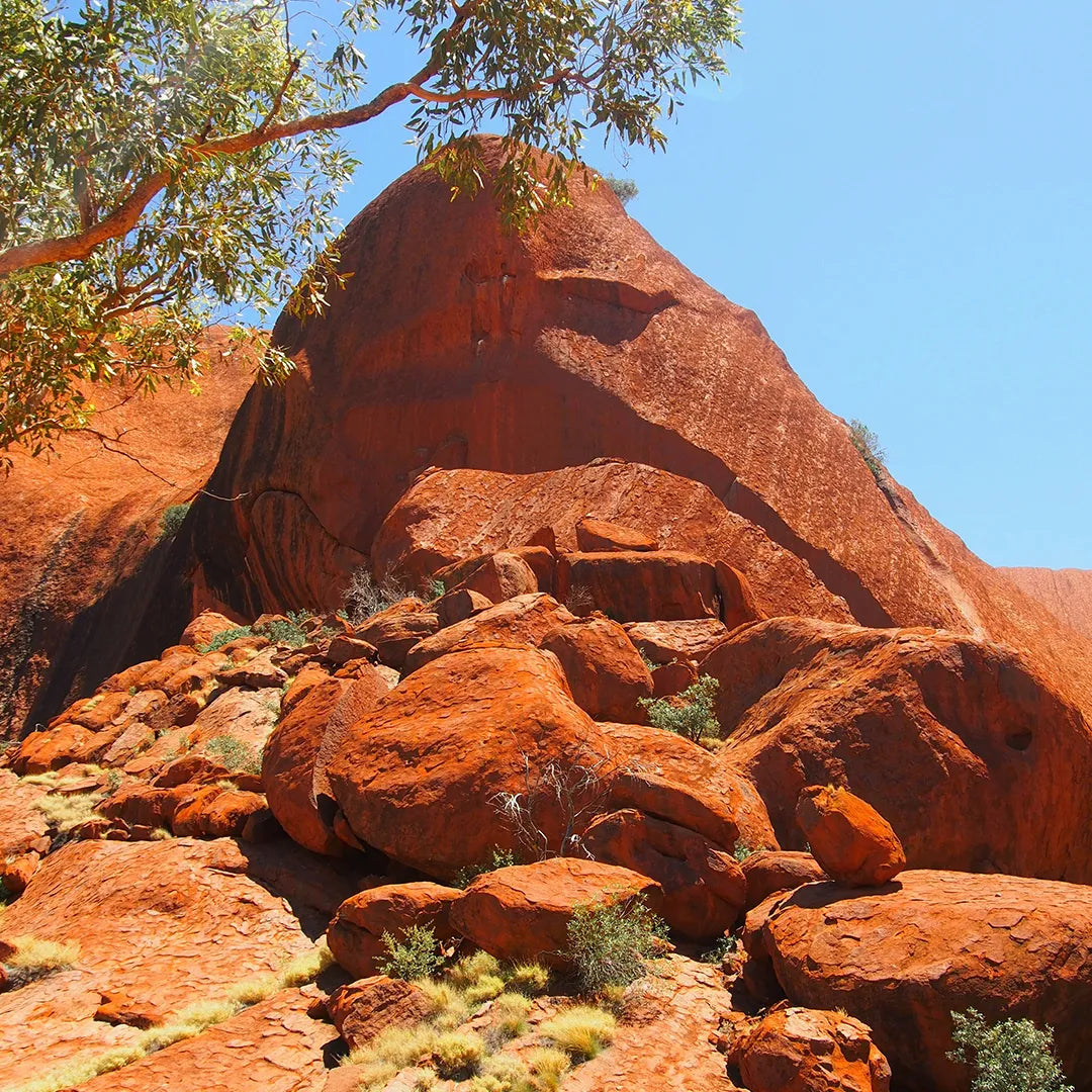 Uluru Classic Tour 3 days