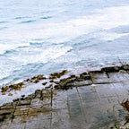 Day Tour from Port Arthur