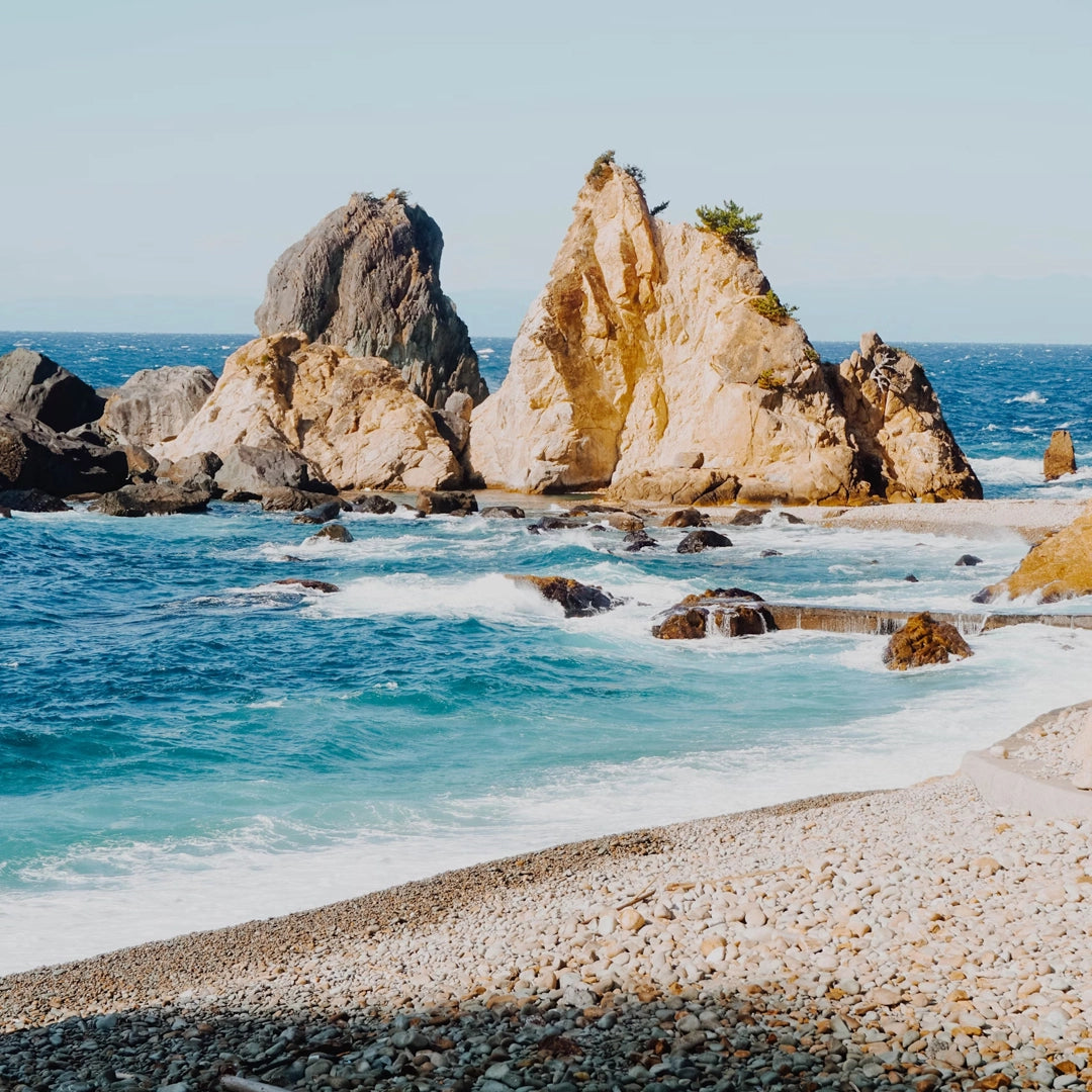3-Day Izu Peninsula VIP Small Group Tour – Onsen, Cherry Blossoms & Scenic Coast