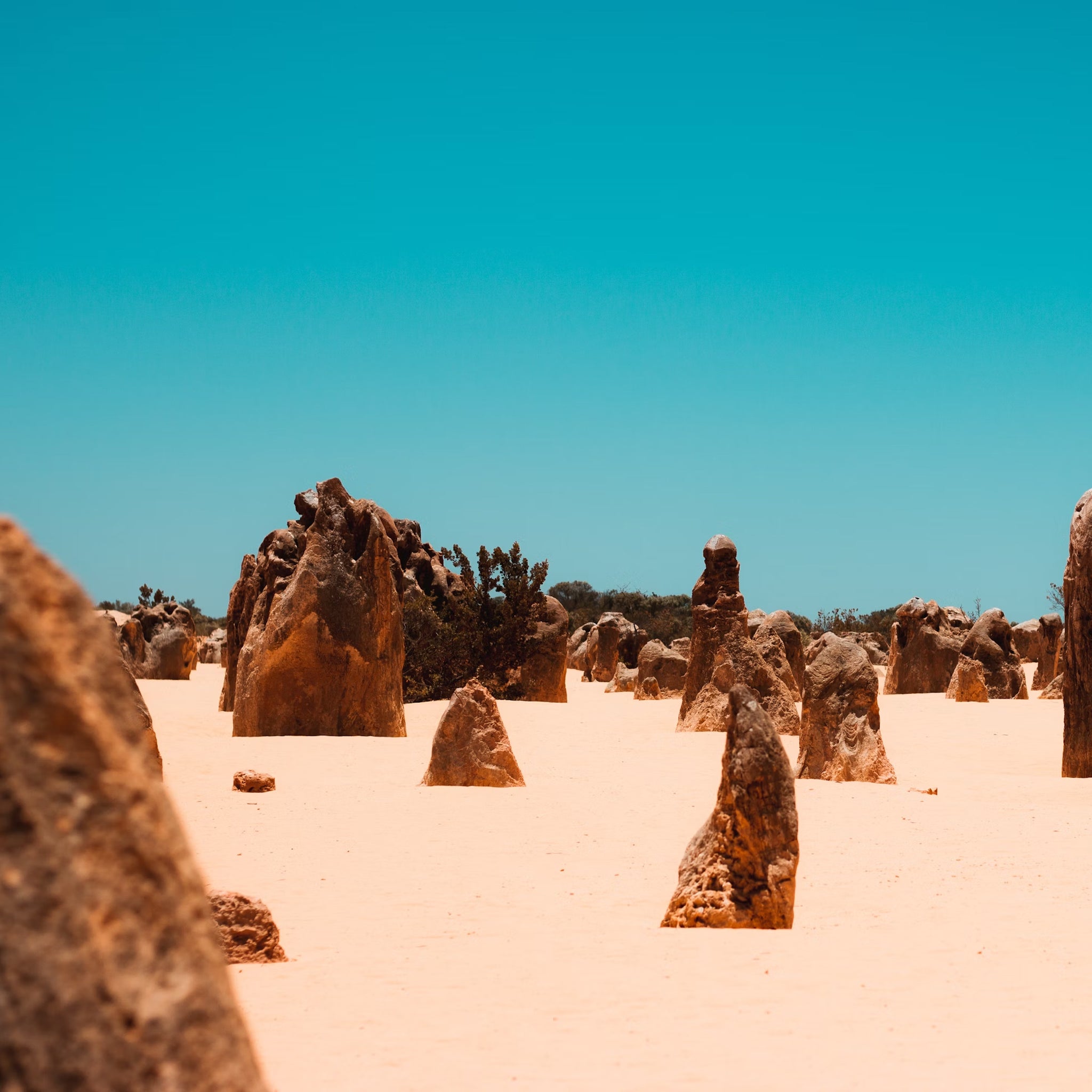 2-Day Western Australia Adventure Pink Lake and More