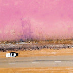 2-Day Western Australia Adventure Pink Lake and More