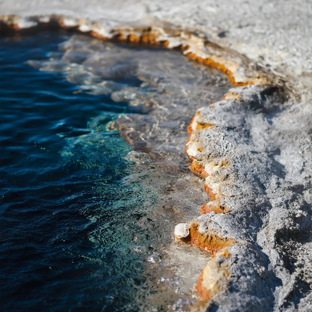 Yellowstone Private Chauffeur Charter Tour from Salt Lake City