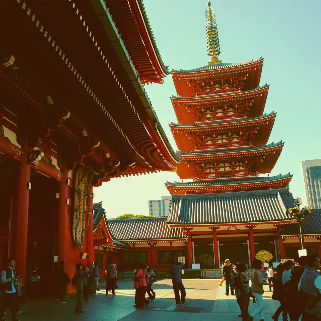 Japan in Bloom: Sakura Season Private Tours & Cultural Highlights