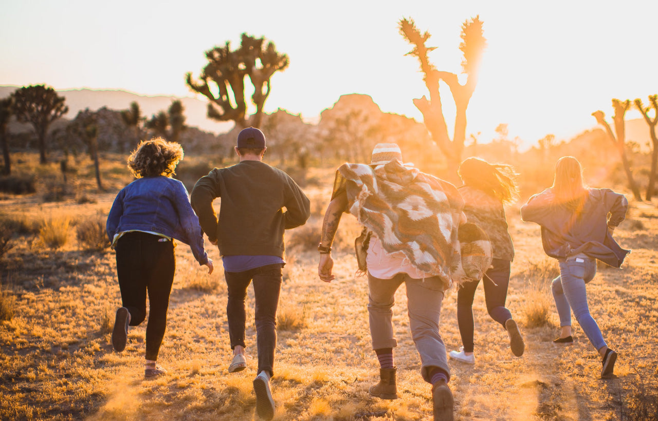 Beyond Ordinary | VIP Curated Travel Experiences
