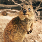 6-Day Western Australia Panorama Tour Adventure