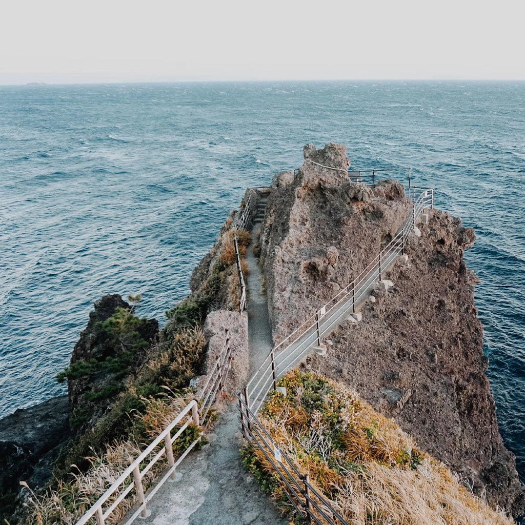 3-Day Izu Peninsula VIP Small Group Tour