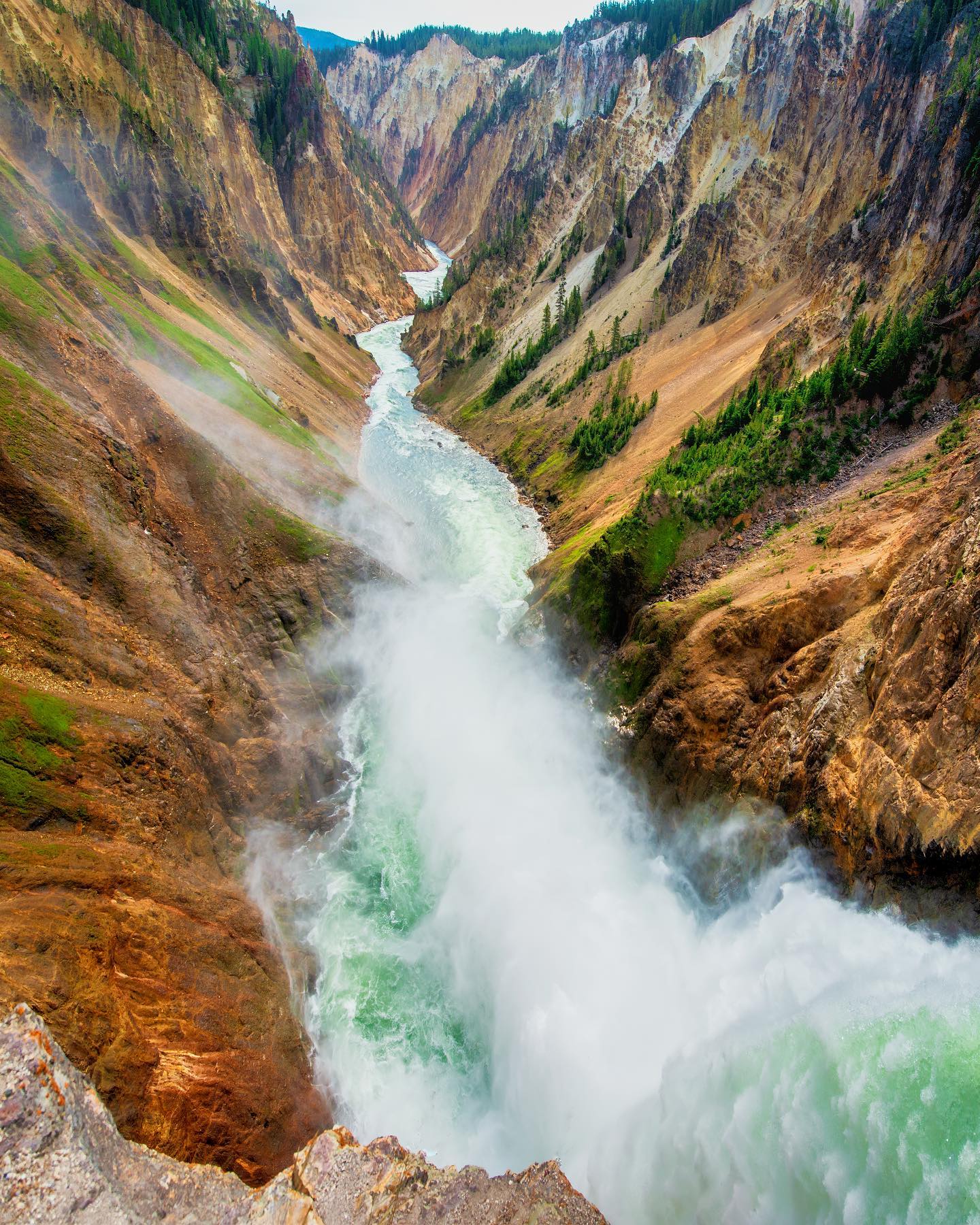 5-Day Round Trip from Salt Lake City to Yellowstone National Park VIP Small Group Tour