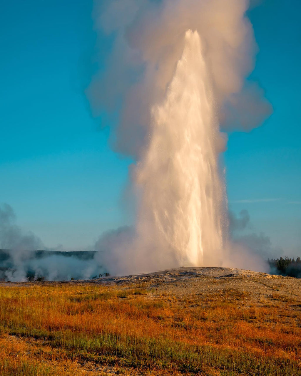 5-Day Round Trip from Salt Lake City to Yellowstone National Park VIP Small Group Tour