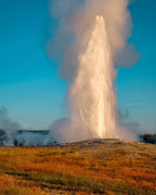 5-Day Round Trip from Salt Lake City to Yellowstone National Park VIP Small Group Tour
