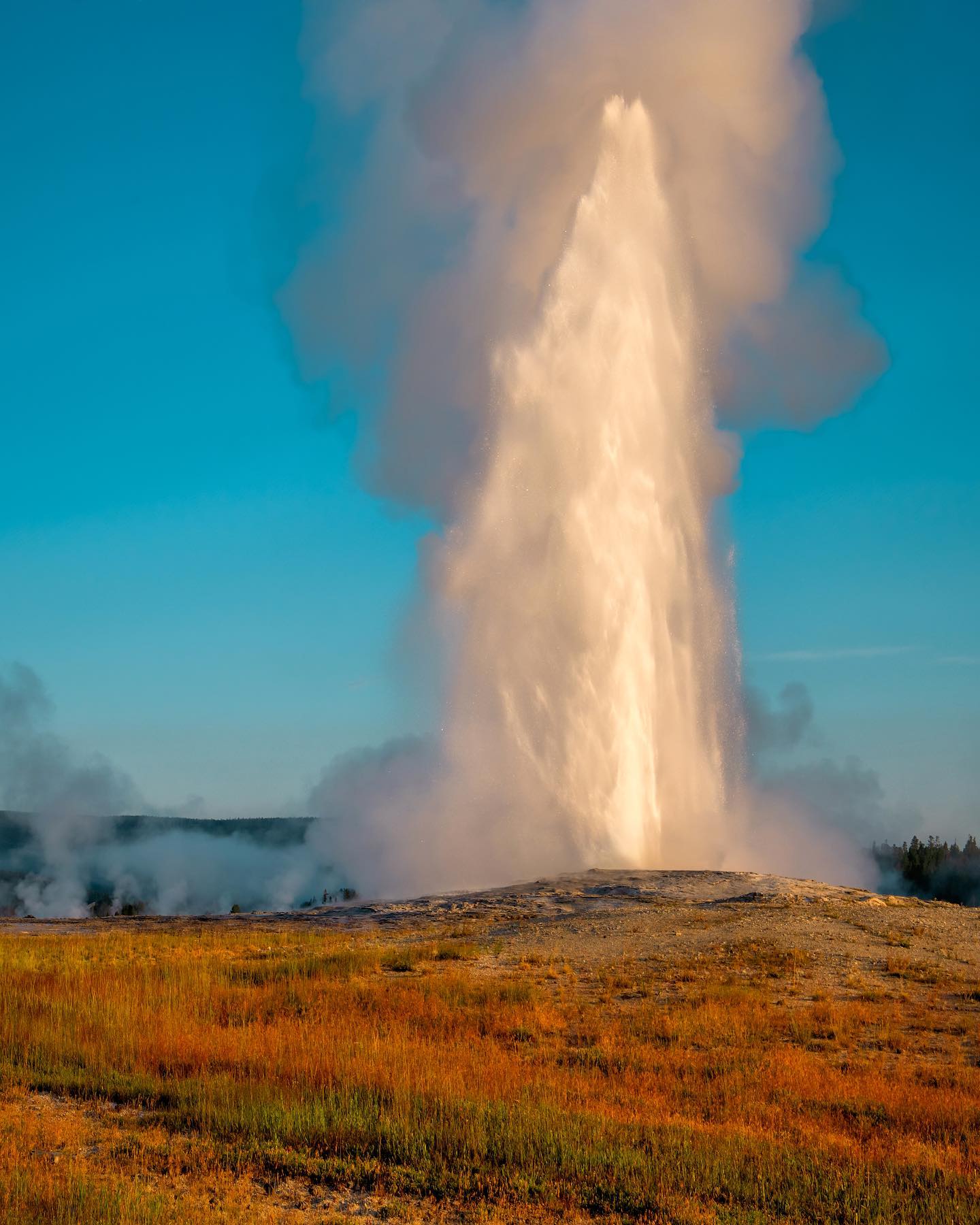 5-Day Round Trip from Salt Lake City to Yellowstone National Park VIP Small Group Tour
