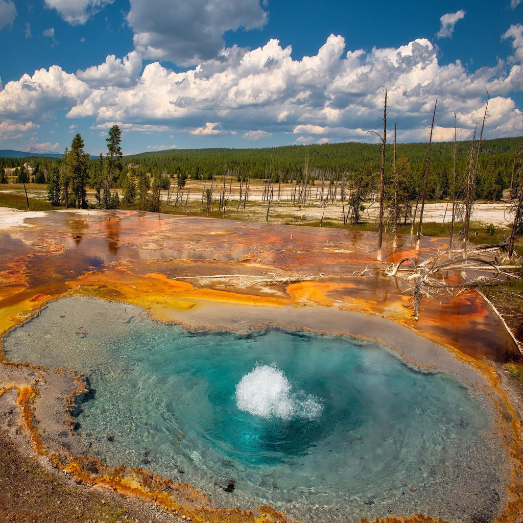 5-Day Round Trip from Salt Lake City to Yellowstone National Park VIP Small Group Tour