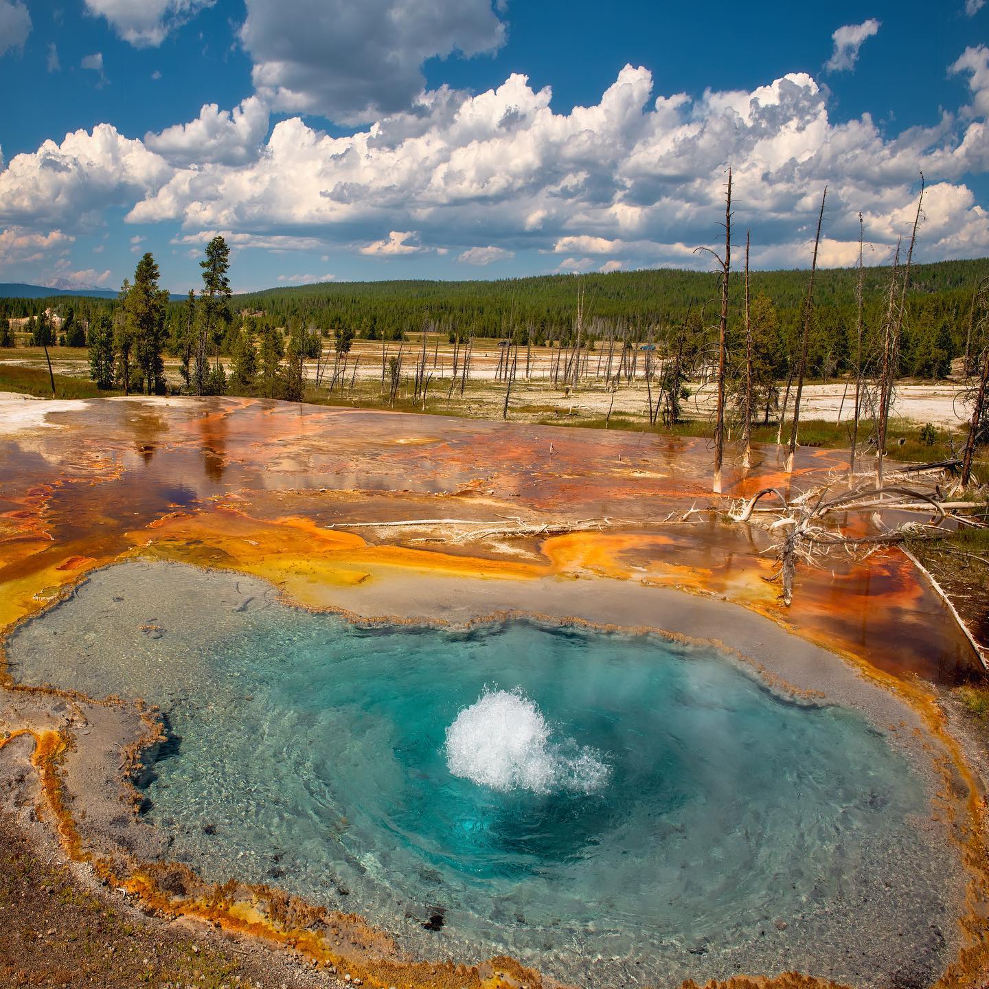 5-Day Round Trip from Salt Lake City to Yellowstone National Park VIP Small Group Tour