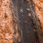 Uluru-Mala Walk Tour