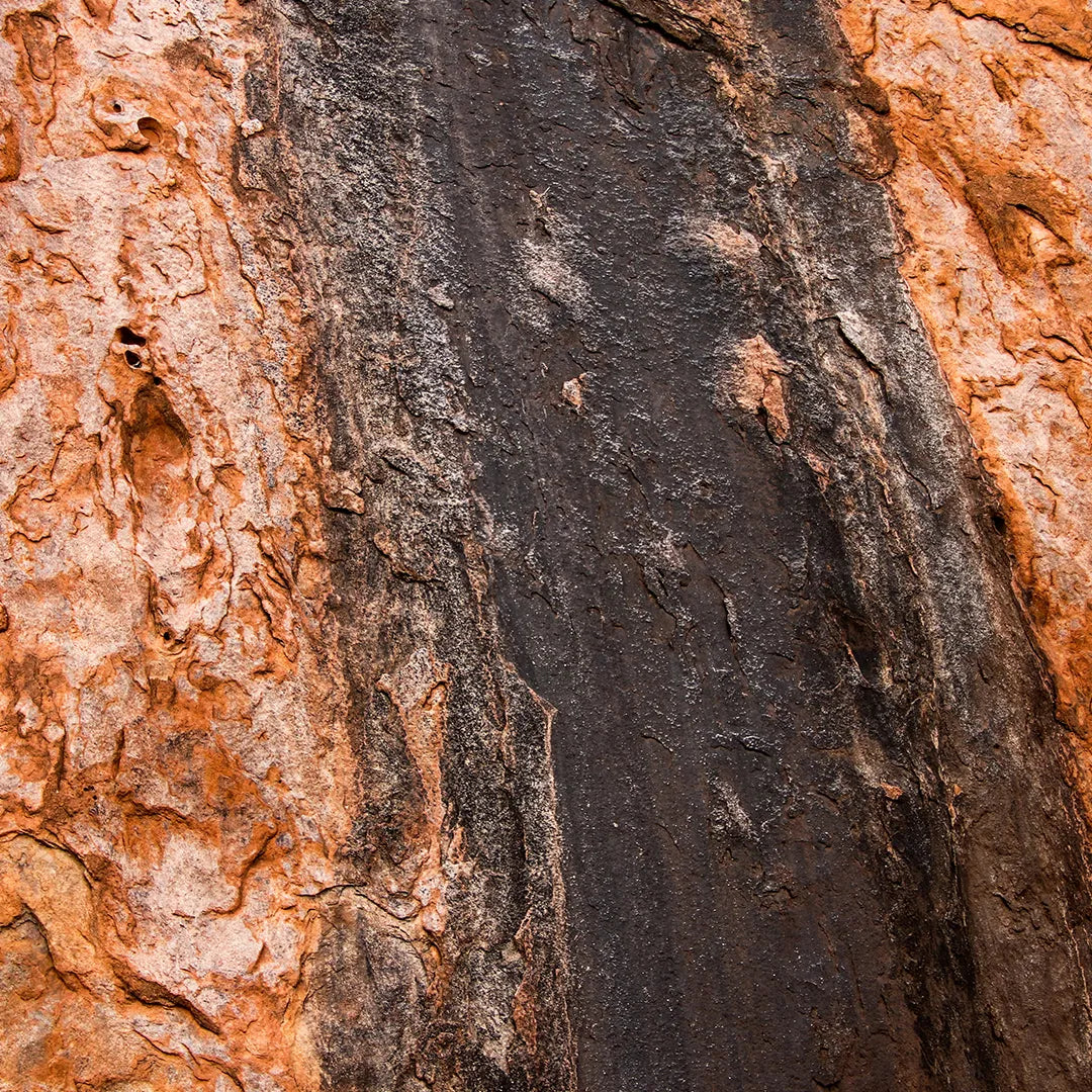 Uluru-Mala Walk Tour