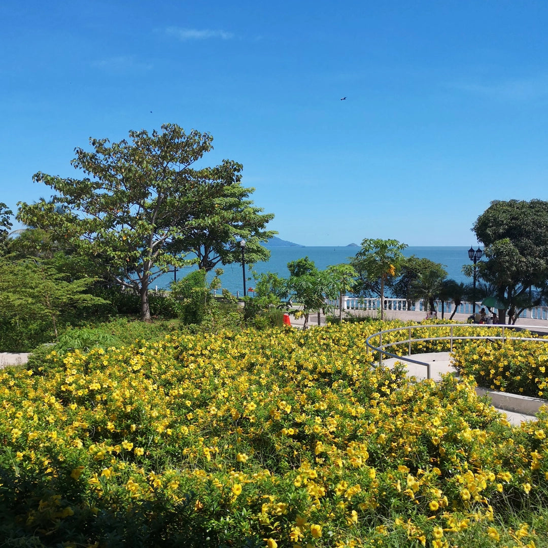 3-Day Izu Peninsula VIP Small Group Tour – Onsen, Cherry Blossoms & Scenic Coast