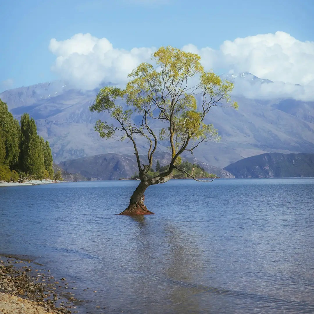 Wanaka