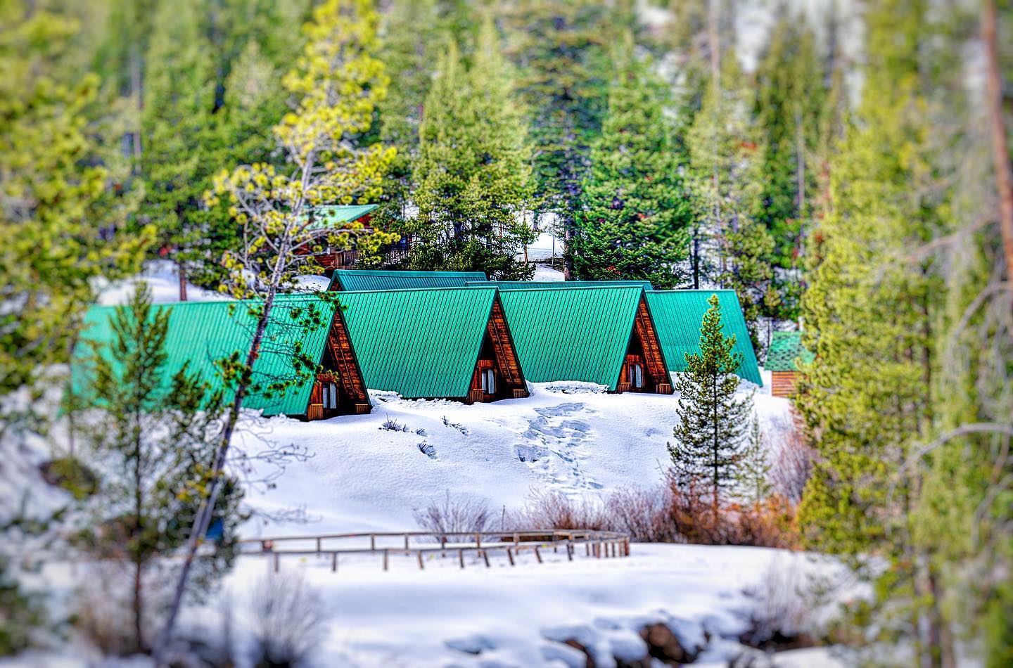 5-Day Round Trip from Salt Lake City to Yellowstone National Park VIP Small Group Tour