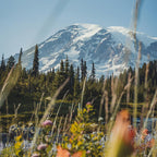 2-Day Mount Rainier & Olympic National Parks Tour – Washington’s Natural Wonders