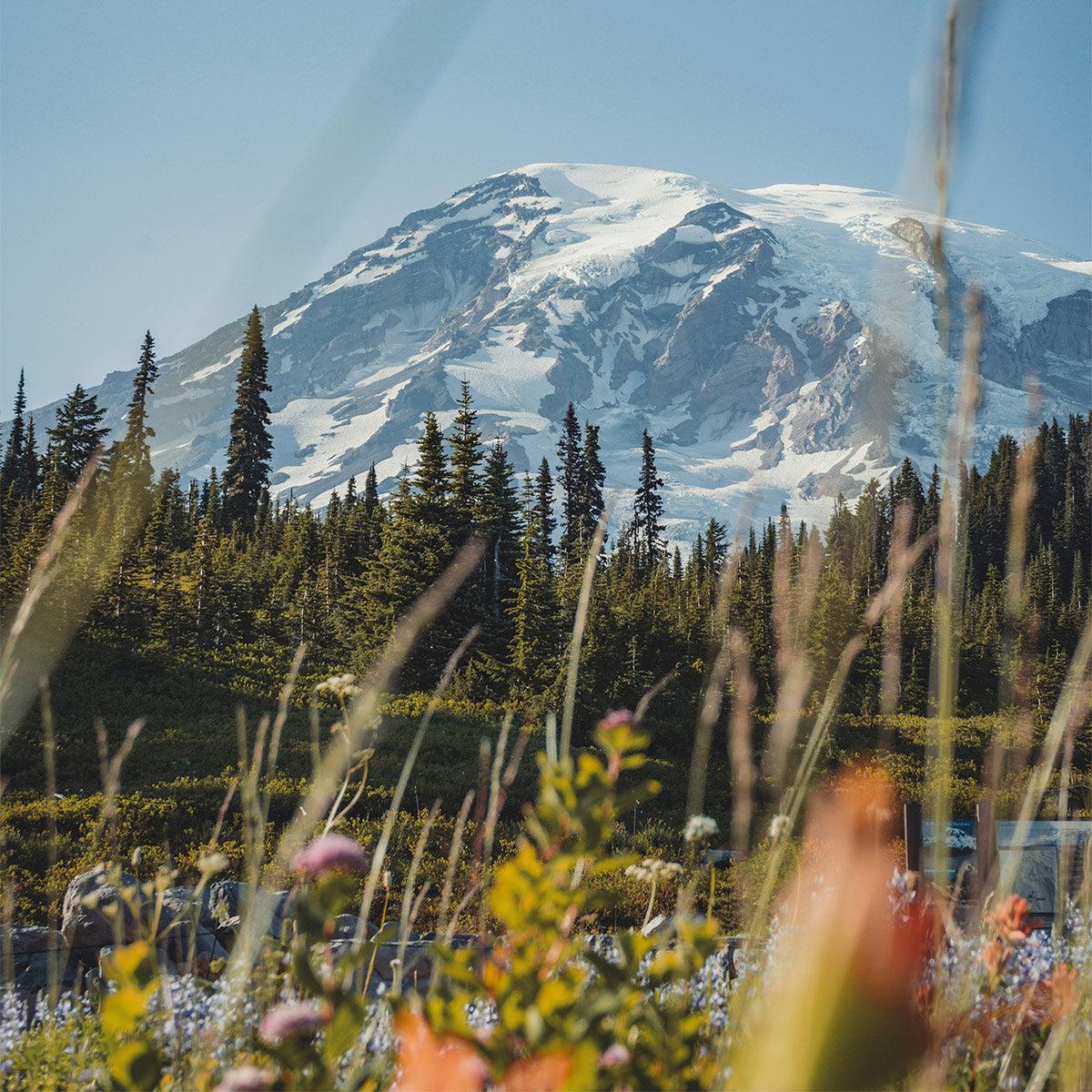 2-Day Mount Rainier & Olympic National Parks Tour – Washington’s Natural Wonders