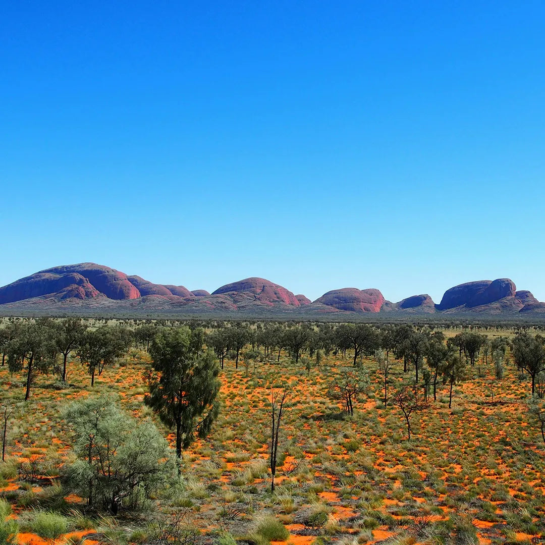 Uluru Classic Tour 3 days