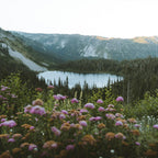 2-Day Mount Rainier & Olympic National Parks Tour – Washington’s Natural Wonders