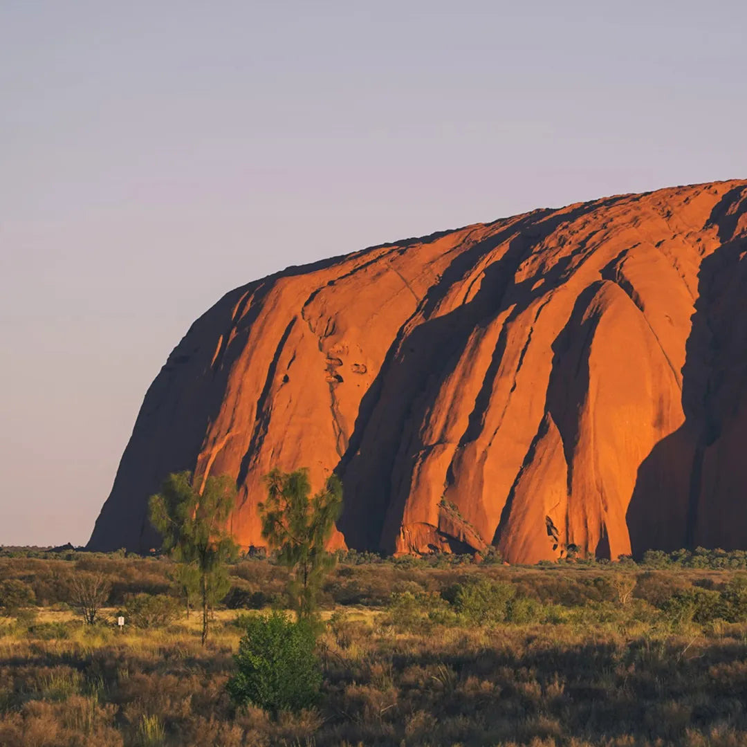 Uluru-Mala Walk Tour