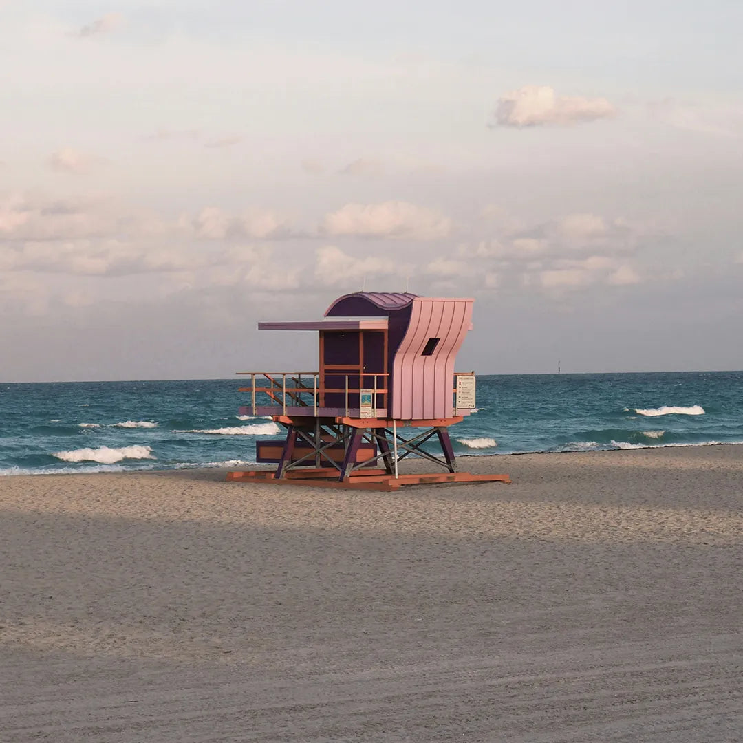 Miami City & Everglades National Park Day Tour