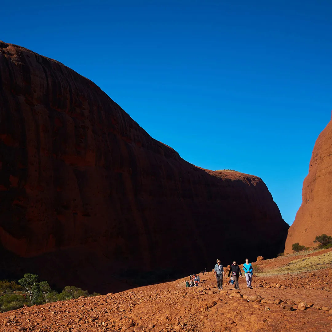 Uluru-Mala Walk Tour