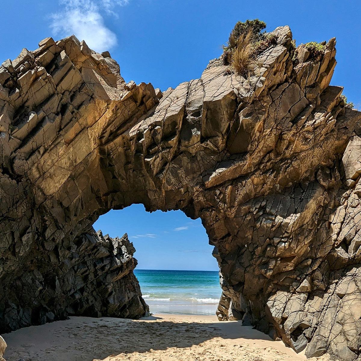 Bruny Island Full-Day Gourmet & Nature Tour with Luxury Coach & Expert Guide