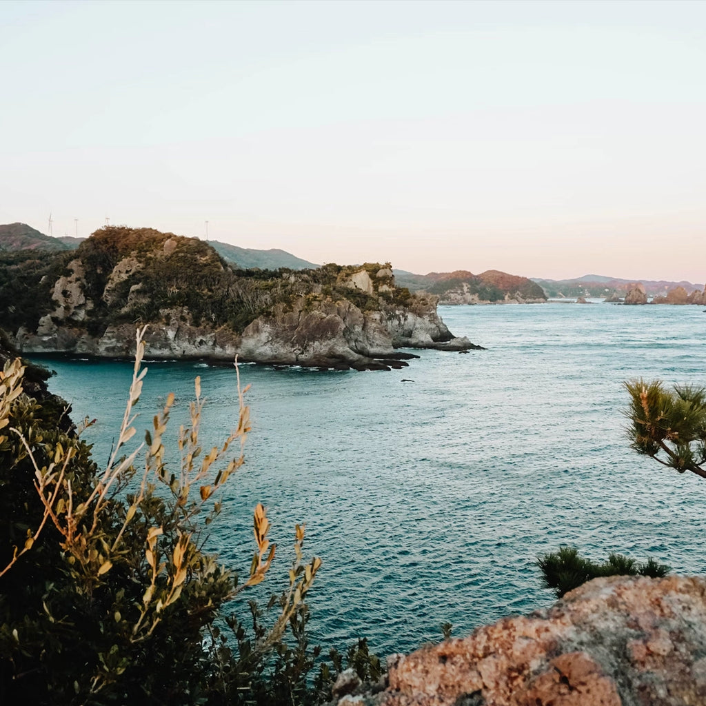 3-Day Izu Peninsula VIP Small Group Tour