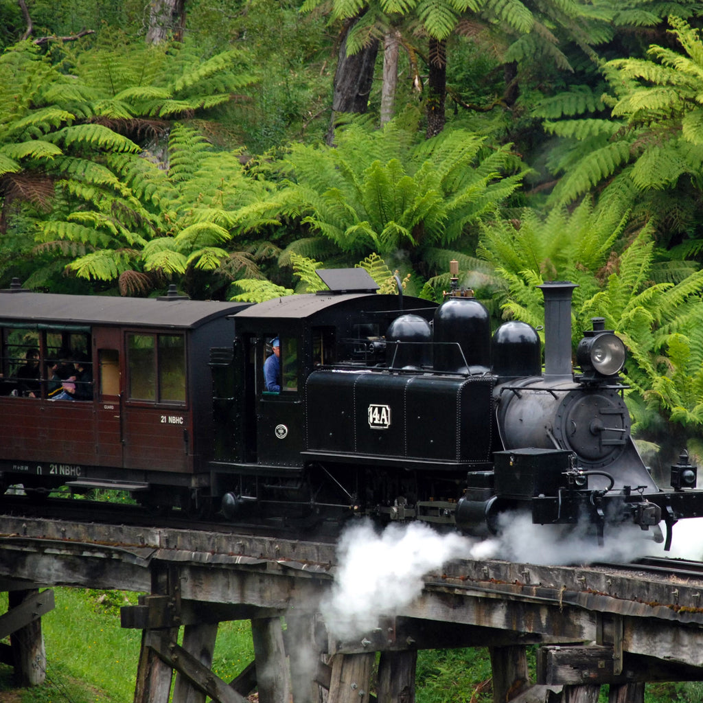 Melbourne 4-Day Adventure: City Highlights & Coastal Wonders