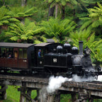 Melbourne 4-Day Adventure: City Highlights & Coastal Wonders