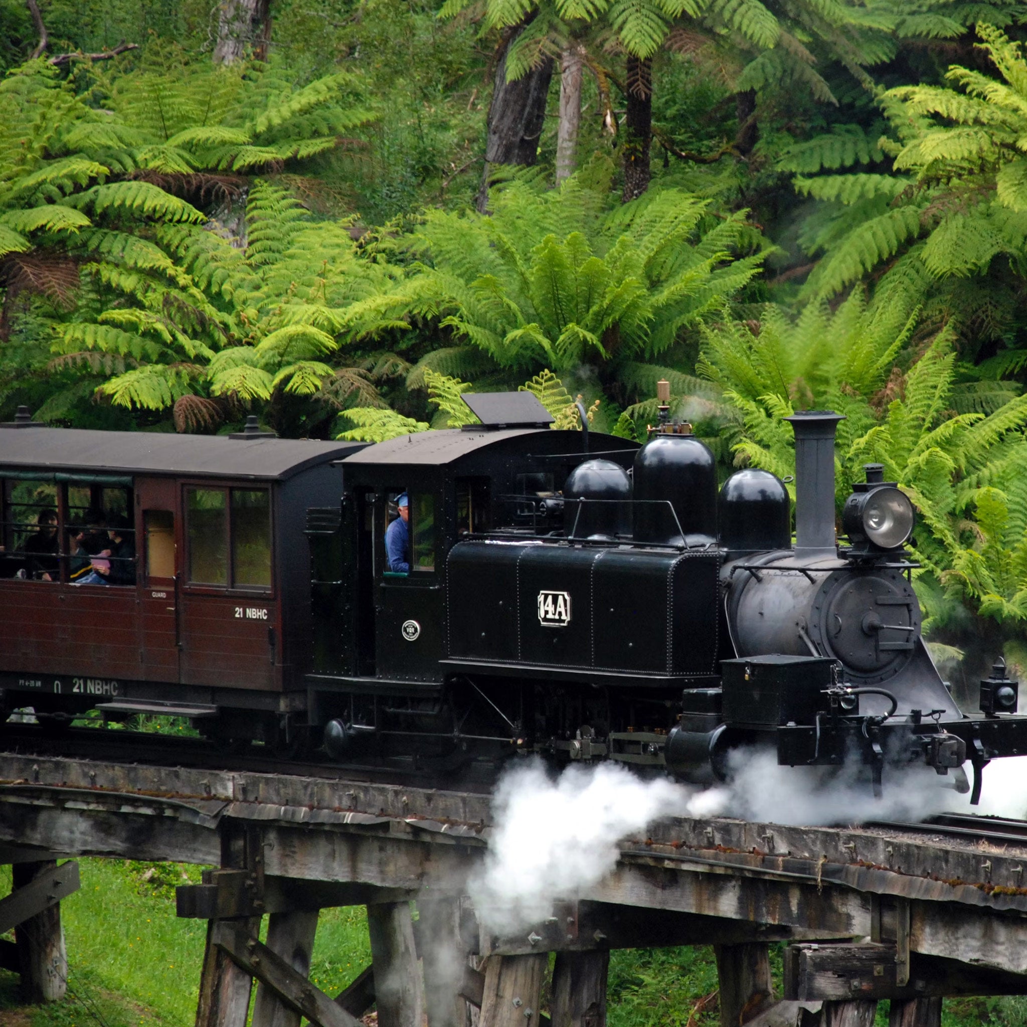 Melbourne 4-Day Adventure: City Highlights & Coastal Wonders